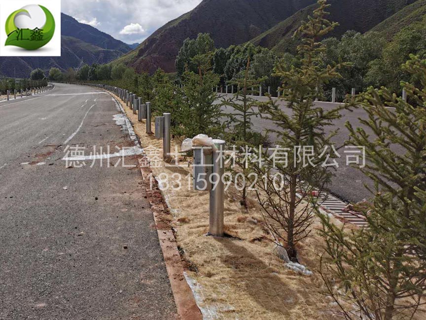 草籽椰絲毯公路邊坡防護(hù)