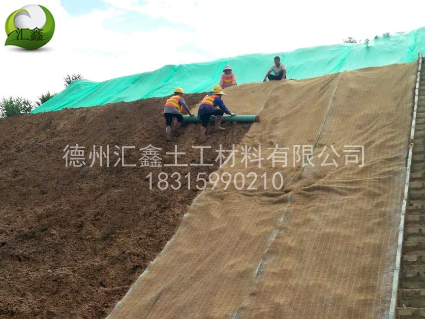 懷化芷江侗族自治縣山體護(hù)坡復(fù)綠