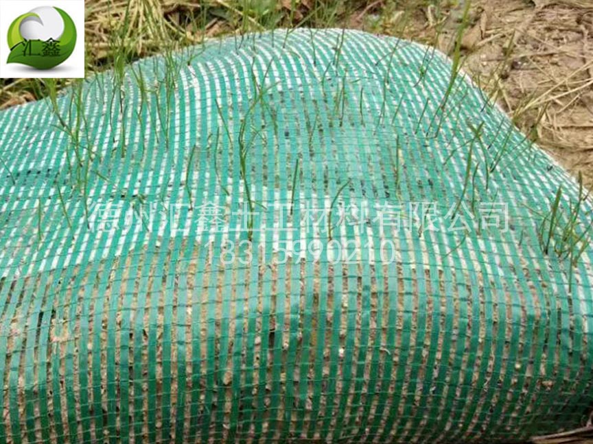 植生袋和生態(tài)袋的區(qū)別(圖2) 植生袋和生態(tài)袋的區(qū)別(圖2)