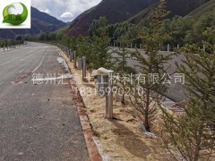 植生毯有哪些種類