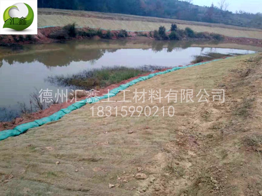 給大家講一下生態(tài)護(hù)坡毯的施工方法(圖3) 給大家講一下生態(tài)護(hù)坡毯的施工方法(圖3)