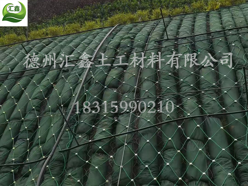 生態(tài)棒