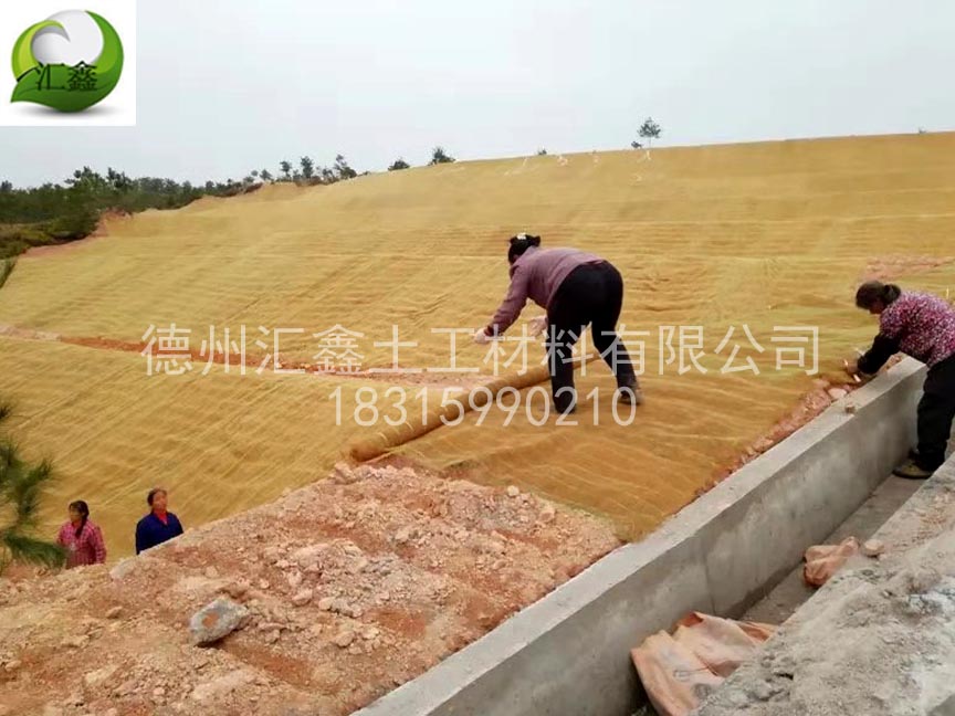植物纖維毯長草效果(圖3)