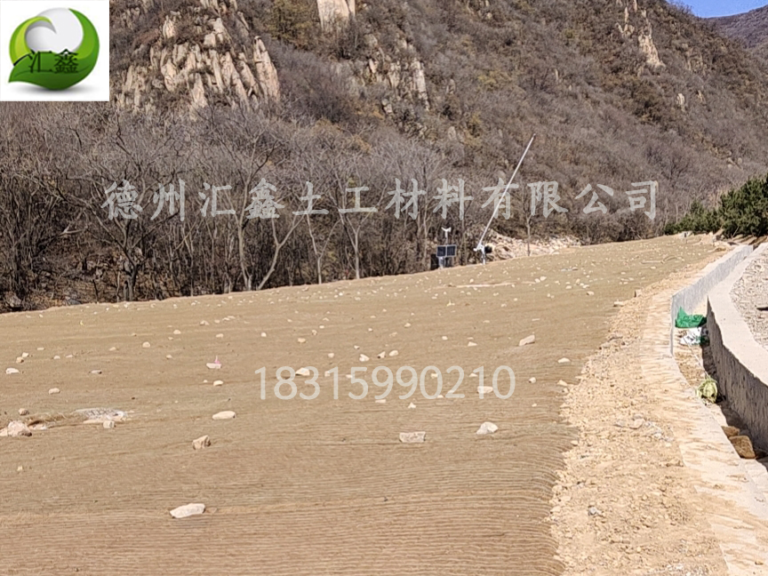 生態(tài)護(hù)坡毯——邊坡防護(hù)綠化的好幫手(圖2)