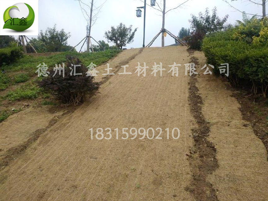 生態(tài)護(hù)坡毯——邊坡防護(hù)綠化的好幫手(圖3)
