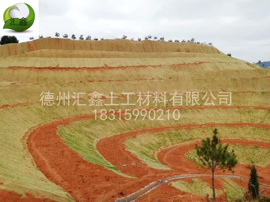 生態(tài)護坡毯種類齊全(圖1)